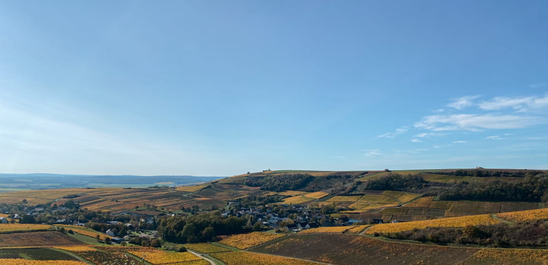 Aloxe une entreprise, une contribution, une façon de faire