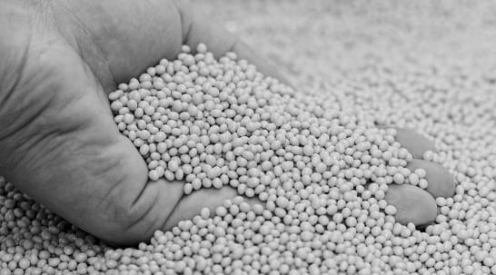 Ce que nous produisons